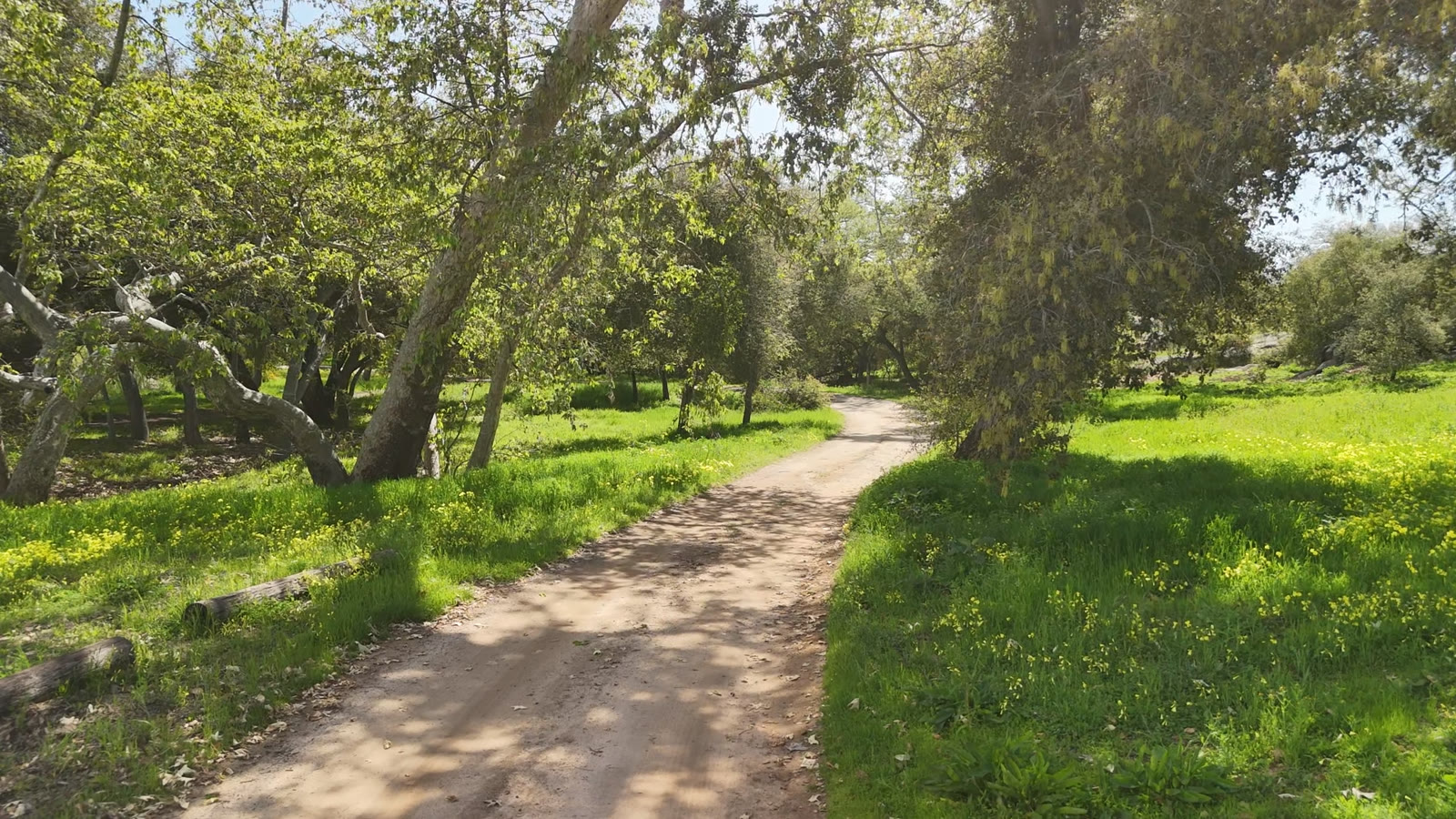 Hiking Trail
